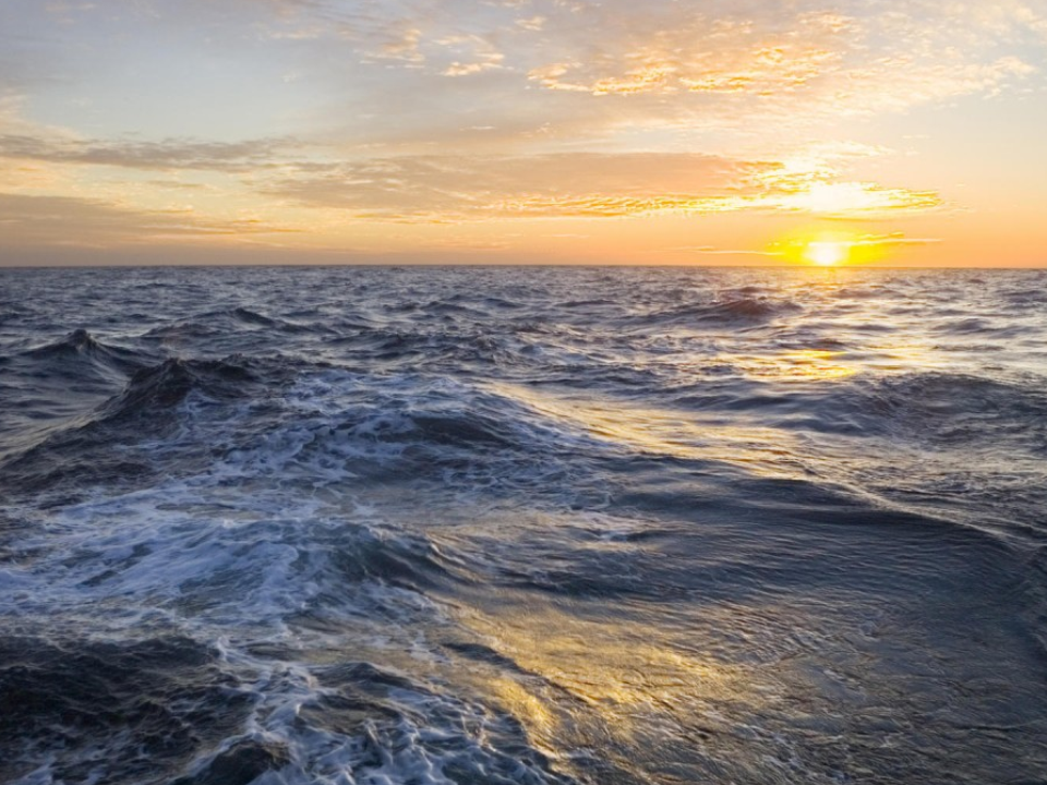 20 de Maio - DIA EUROPEU DO MAR