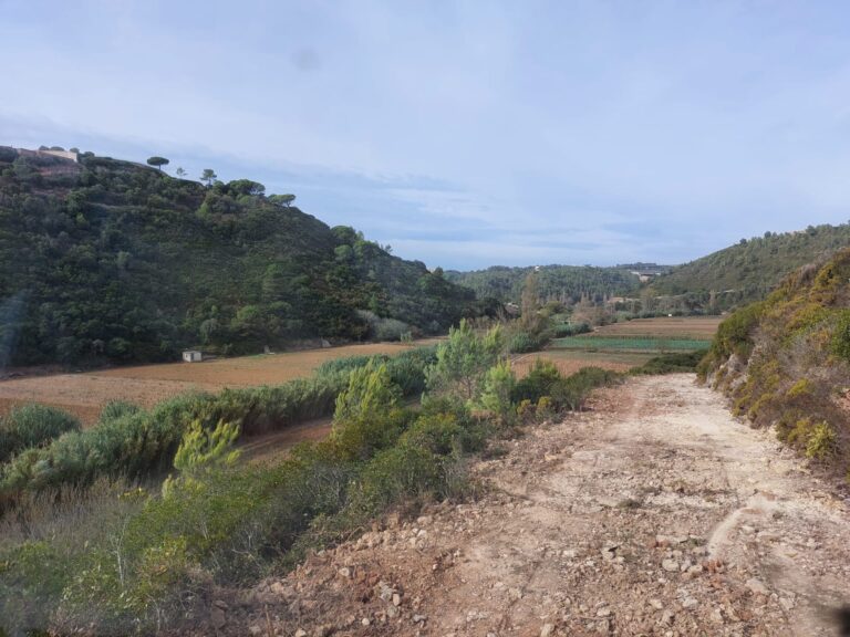 REQUALIFICAÇÃO DE CAMINHOS